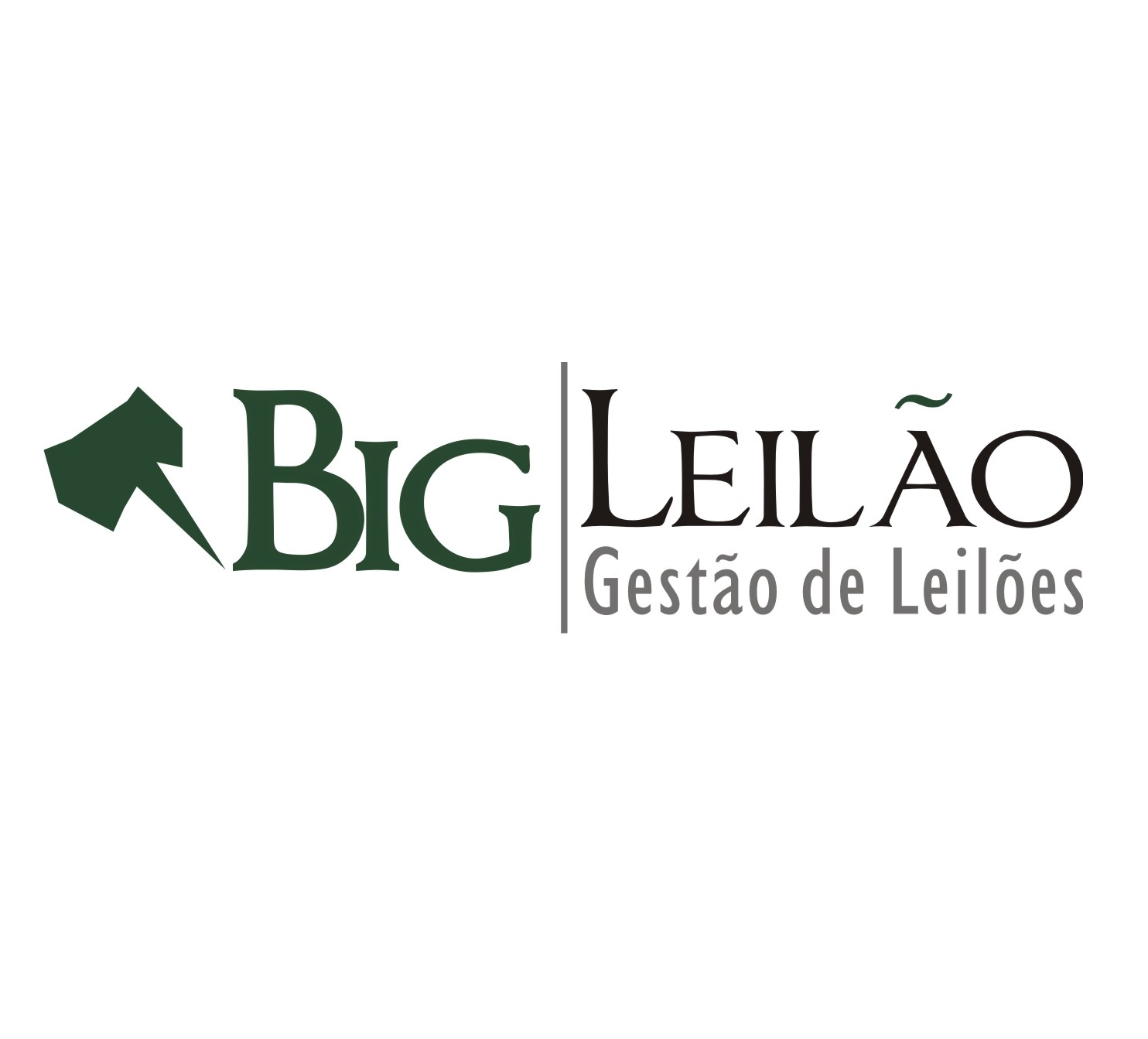 Veiculos diversos