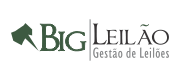 (c) Bigleilao.com.br
